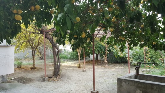 Osmaniye Dumlupınar Mahallesinde Satılık Müstakil Ev Osmaniye Tokur